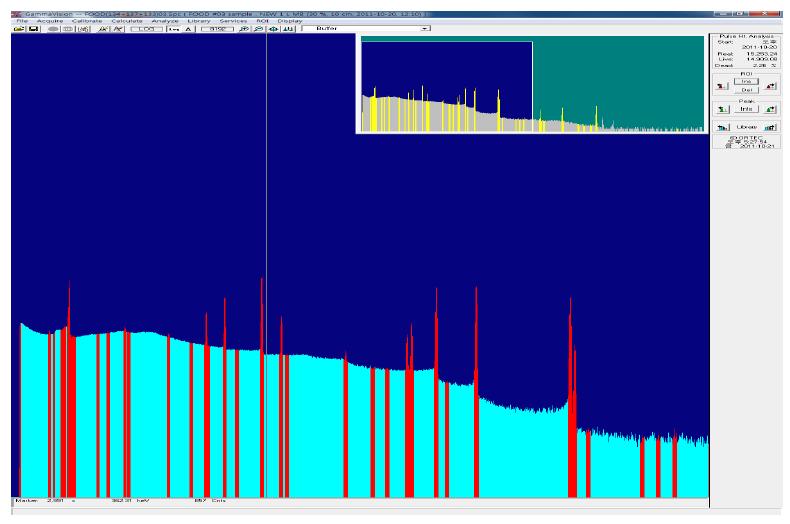 Measured gamma spectrum of food RCRM.