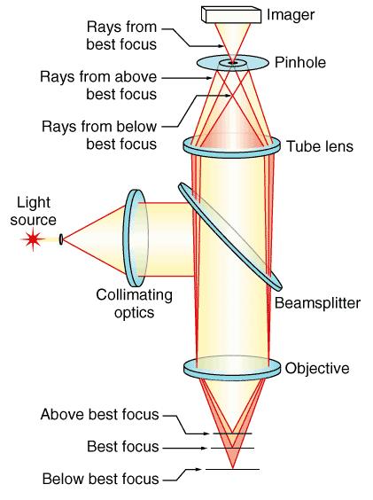 Optical layout of confocal microscope.