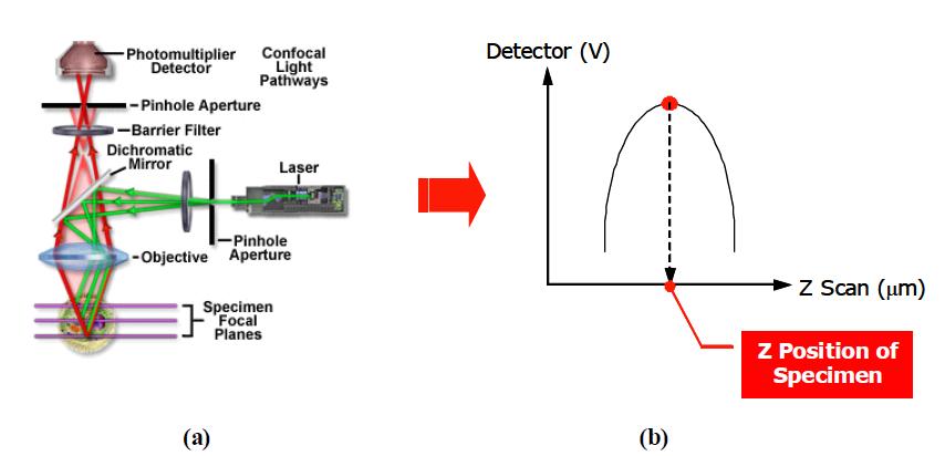 (a) Optical configuration of a confocal microscope (ref. www.olympusfluoview.com/theory/index.html); (b) 3D profile measurement by detecting maximum detector output.