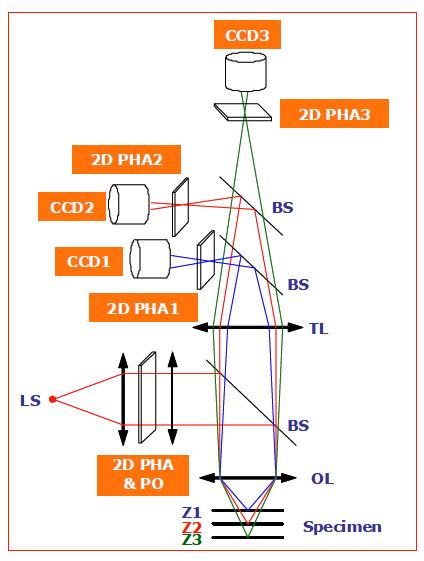 Optical configuration of 3D profile measuring system without lateral scanning; LS (light source), 2D PHA (2-dimensional pin hole array), PO (projection optics), OL (objective lens), BS (beamsplitter), TL (tube lens), CCD (CCD camera).