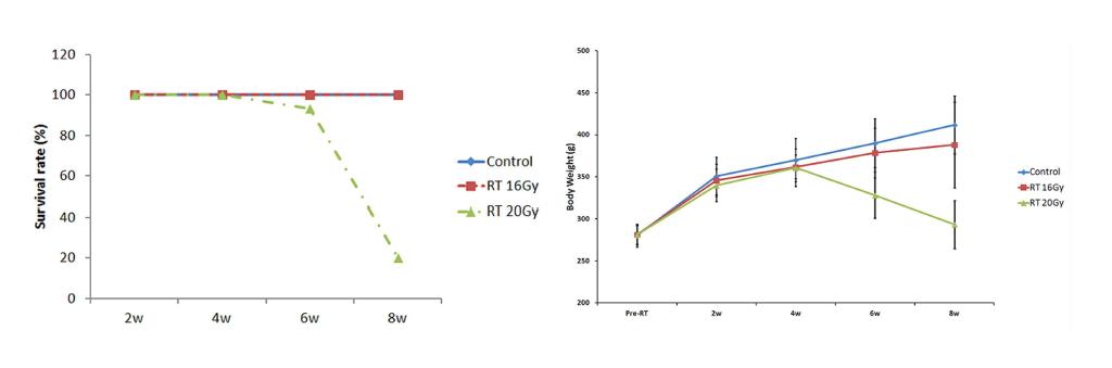 방사선 피폭선량에 따른 생존율 및 체중변화