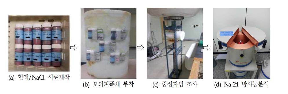 중성자조사실험 및 방사능분석실험 절차