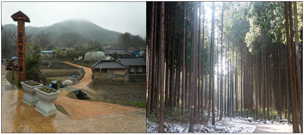 축령산 영화마을과 편백숲 전경