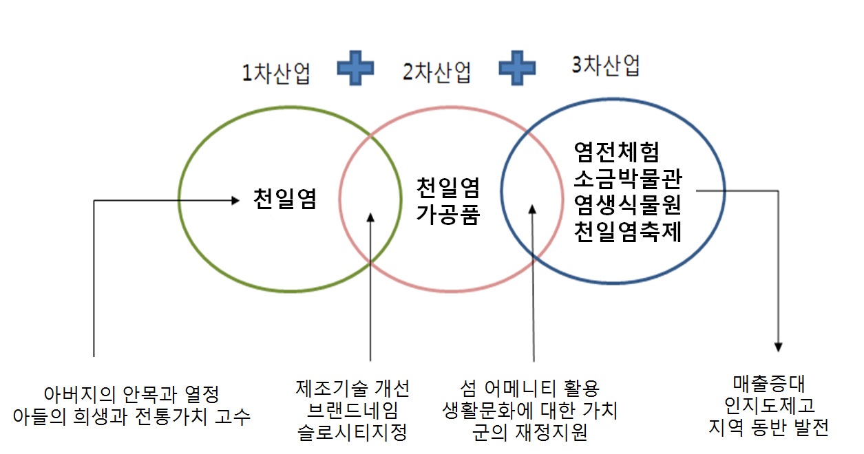 6차형 섬부가가치 산업 육성(신안군 예시)