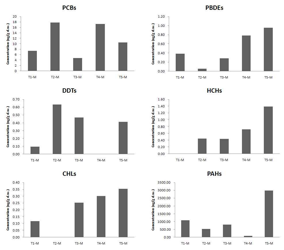 Persisent organinc substancies concentration in moss