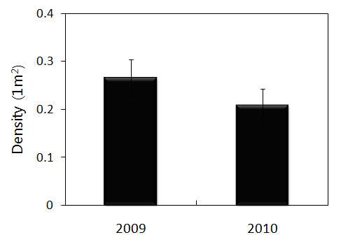 Site2 Deschampsia antarctica density (n=800, SE)