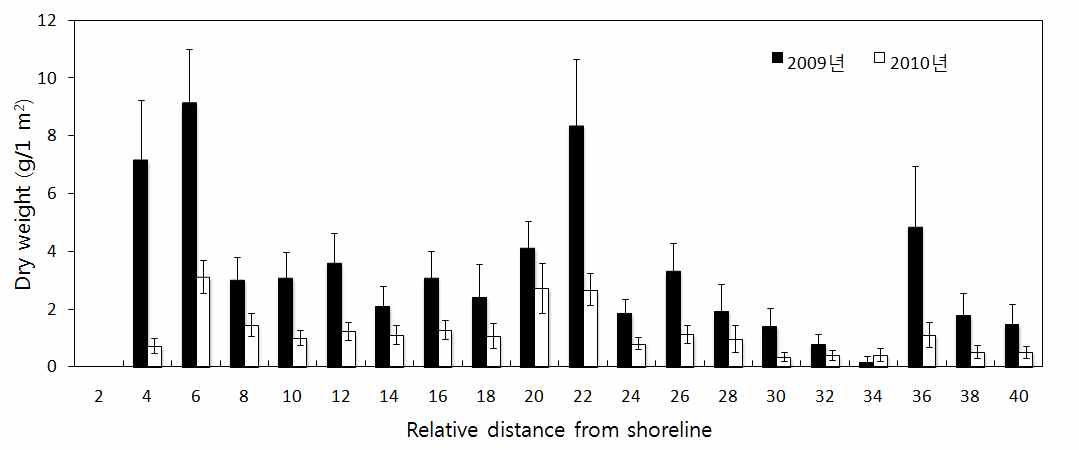 Site1 Relative distance from shoreline Dry weight (n=40, SE) (2009년 vs. 2010년)