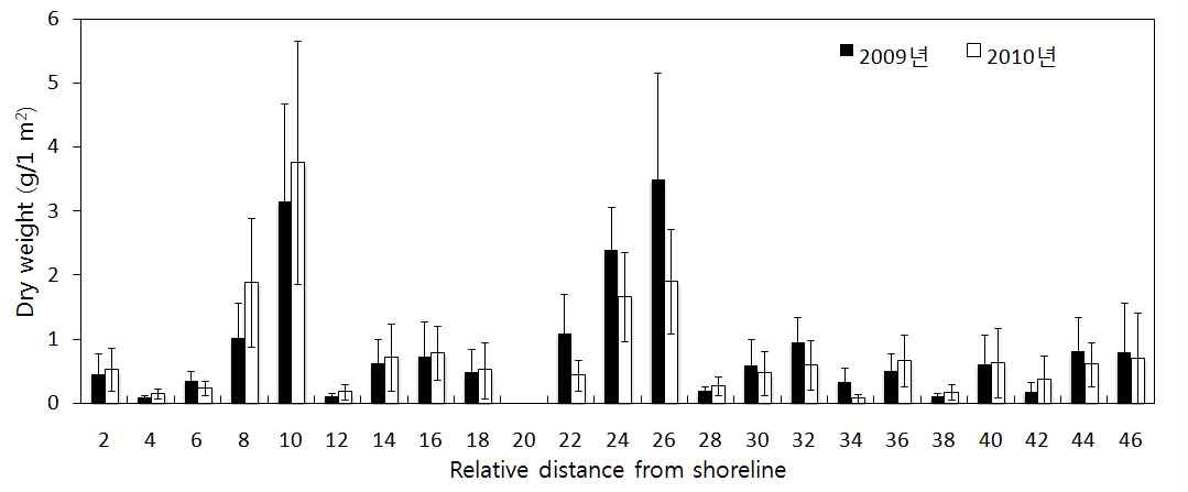 Site2 Relative distance from shoreline Dry weight (n=40, SE) (2009년 vs. 2010년)