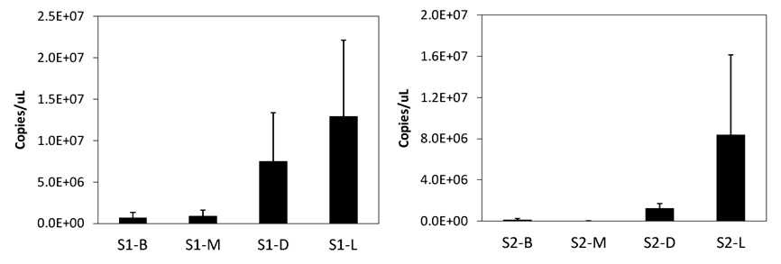 Quantitative real time PCR nitrogen fixation gene(nifH) quantitative