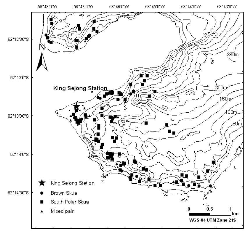 Nest distribution of skuas on Barton and Weaver peninsulas in 2004-05.