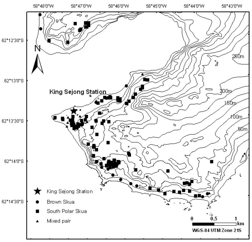 Nest distribution of skuas on Barton and Weaver peninsulas in 2005-06.