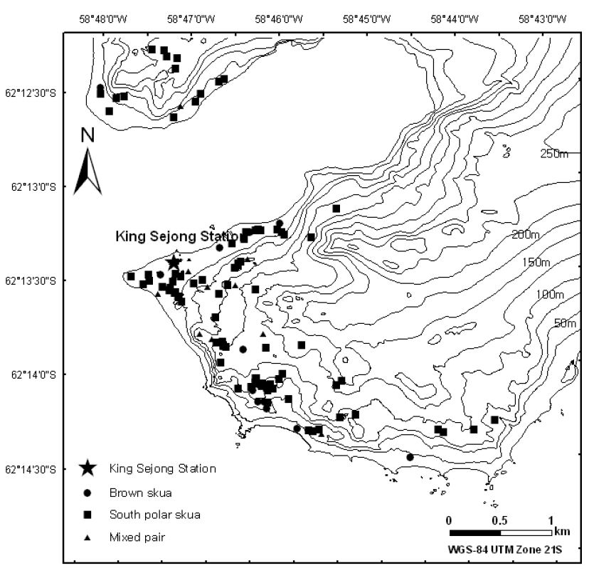 Nest distribution of skuas on Barton and Weaver peninsulas in 2006-07.