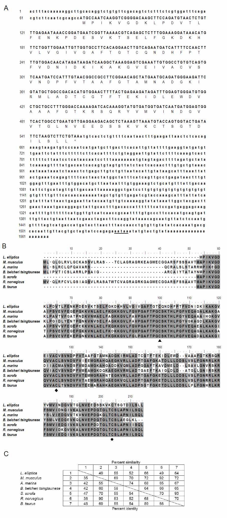 The cDNA and deduced protein sequences of lePrxV.