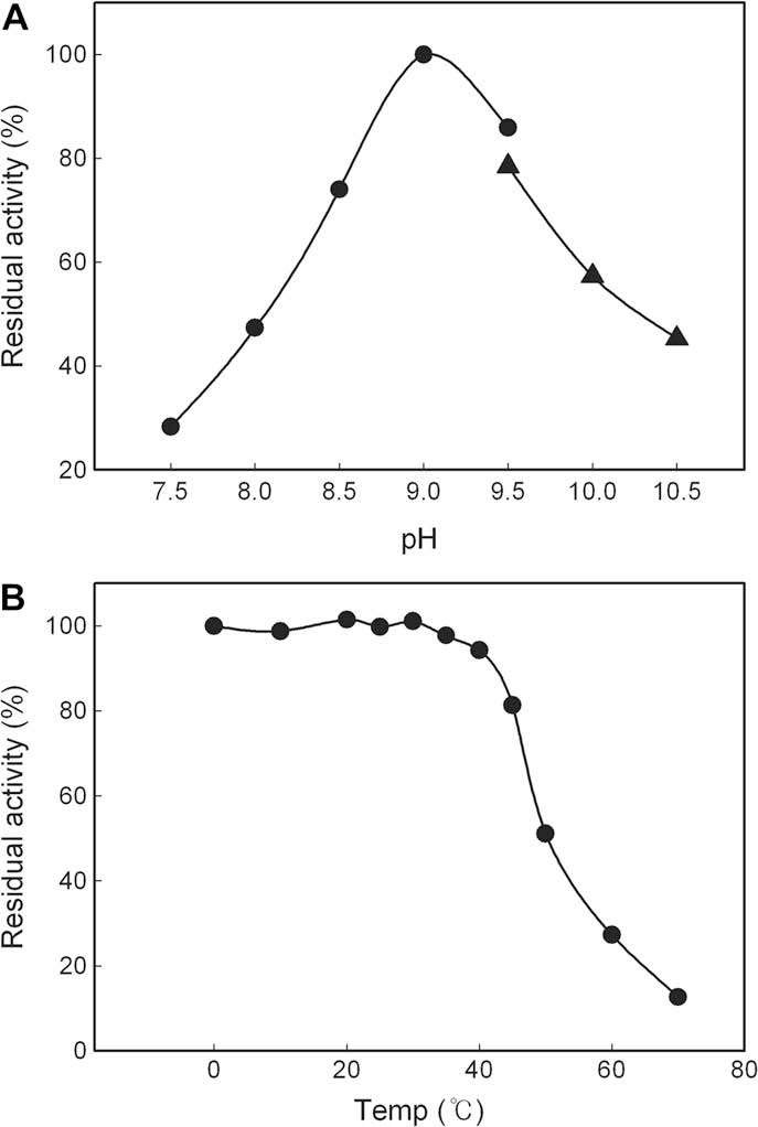 Effects of pH (A) on purified recombinant leMnSOD activity.