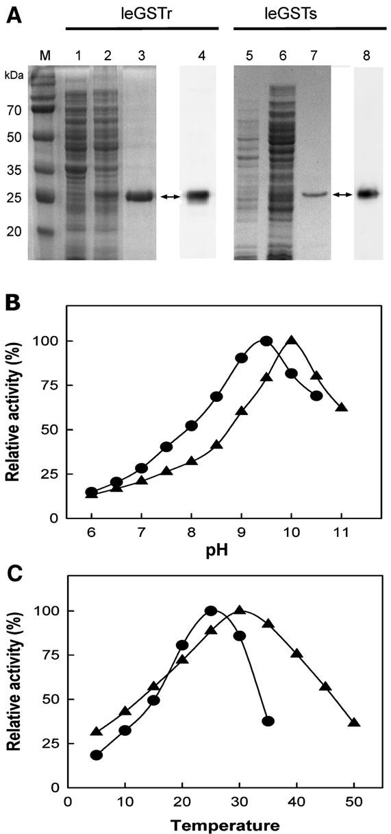 (A) SDS-PAGE and Western blot analysis of expression and purification of the recombinant leGSTr and leGSTs.
