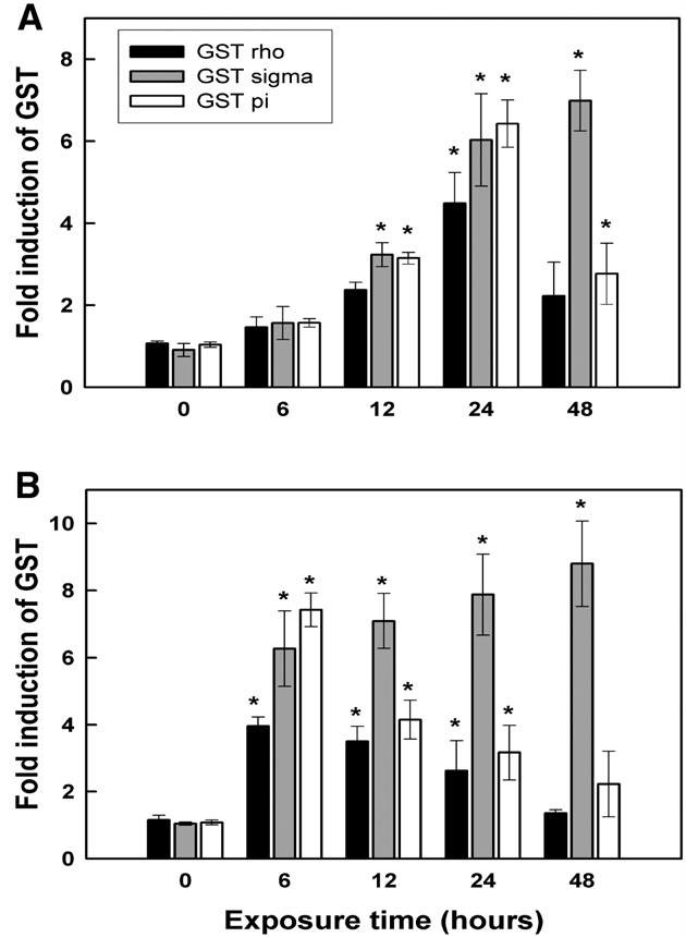 Expression levels of three glutathione S-transferase mRNAs at differenttime points after exposure to the polychlorinated biphenyl mixture Aroclor 1254(10 ug L−1) in digestive gland (A) and gills (B).