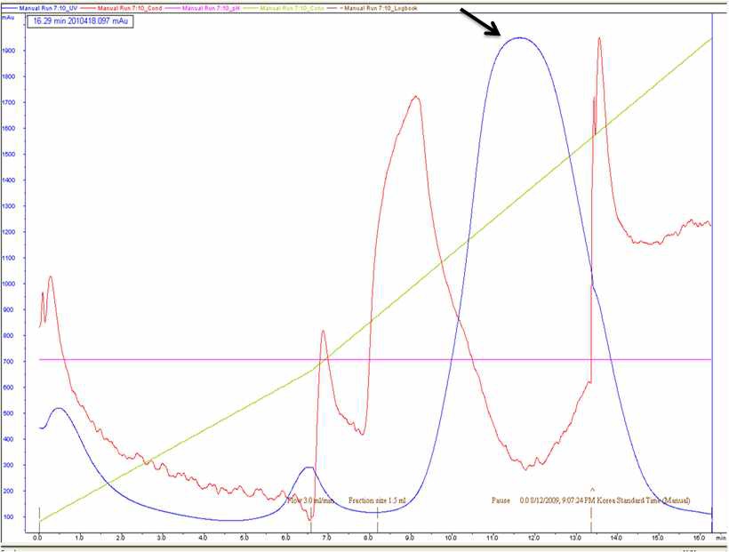 Using of Ni-affinity column SeMet-substituted protein purified UV-profile