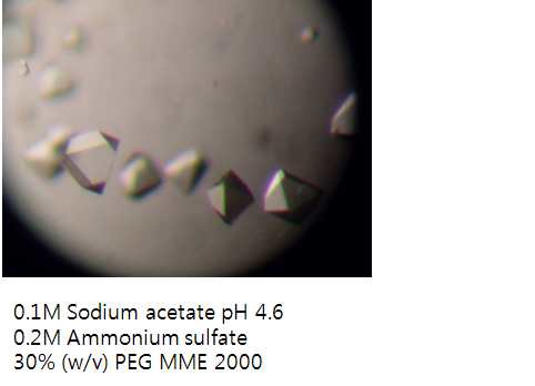 SeMet-substituted ice binding protein crystallization condition