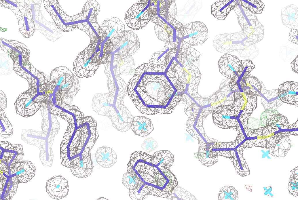 electron density map of native ice binding protein