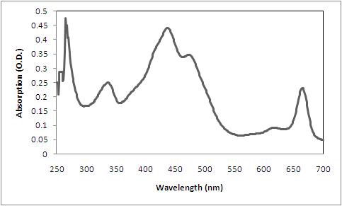 Absorption spectrum of 100% methanol extract of Anabaena variabilis showing the peaks ofr myosporine-like amino acids (334nm), chlorophyll a (430nm and 664nm), carotenoids (473nm) and biliproteins (616nm).