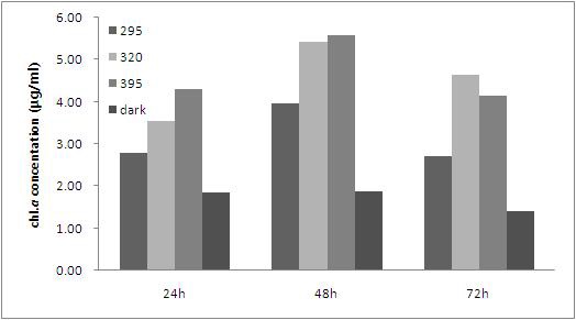 Increase in chlorophyll a (µg/ml) during 72h of exposure under 395nm, 320nm and 295nm cutoff filters.