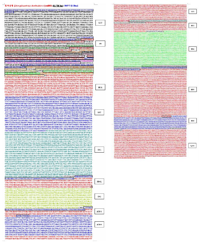 The structure of S. droebachiensis mitogenome sequence