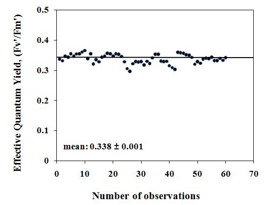 Effective quantum yield number of observatons