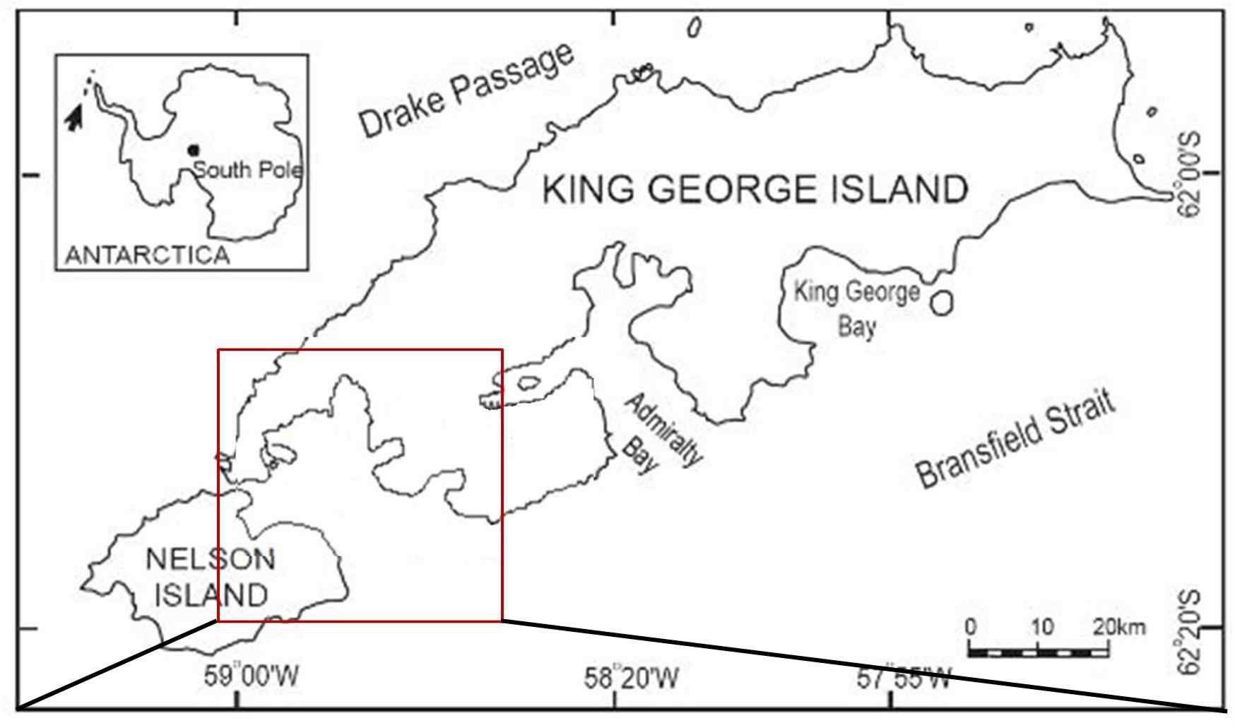 Location of the sampling sites (★) in Maxwell Bay, King George Island, Antarctica