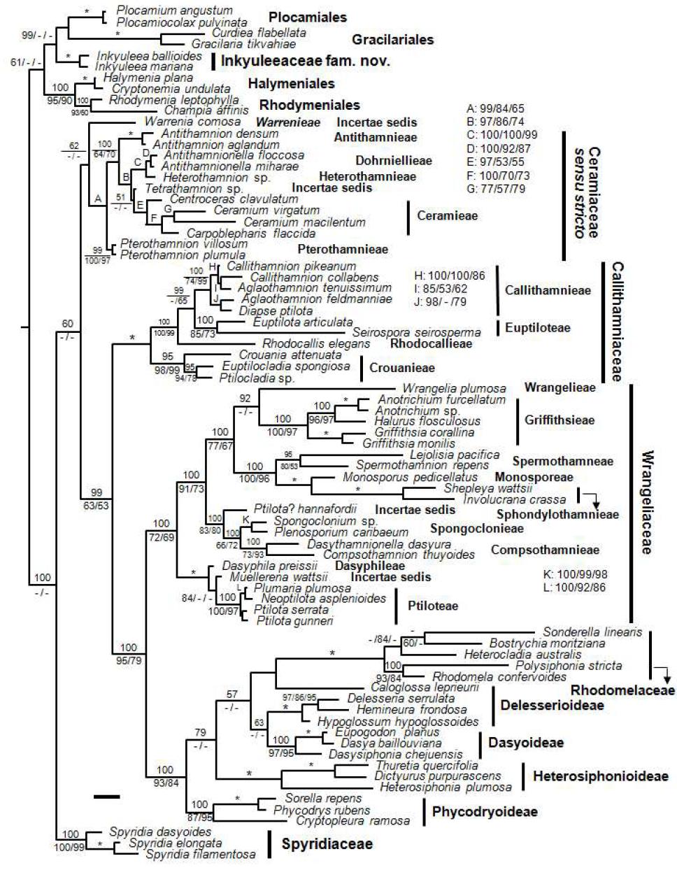 Tree constructed with bayesian inference for the SSU alignment (GTR+G+I model).