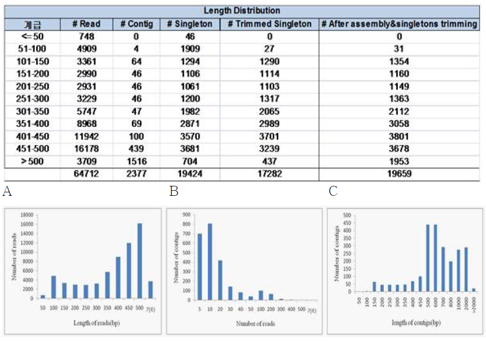 염기서열 길이와 조합으로 얻어진 유전자들의 평균길이 분포도 A: Number distribution of lengths of the individual reads. B: Number distribution of the contigs. C:Contig sizes.