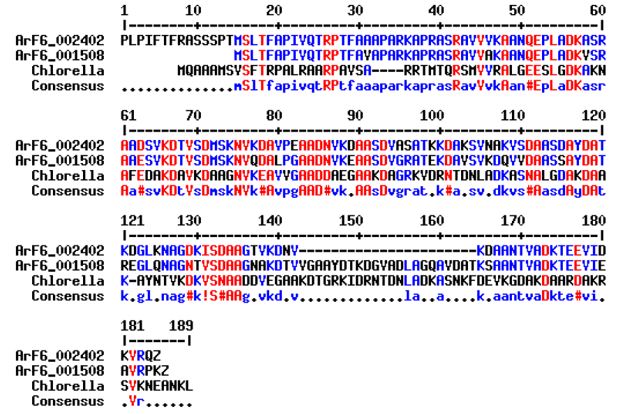 ArF6 결빙방지단백질 contig002402, contig 001508과 클로렐라 결빙방지 단백질의 아미노산 서열유사성 비교도
