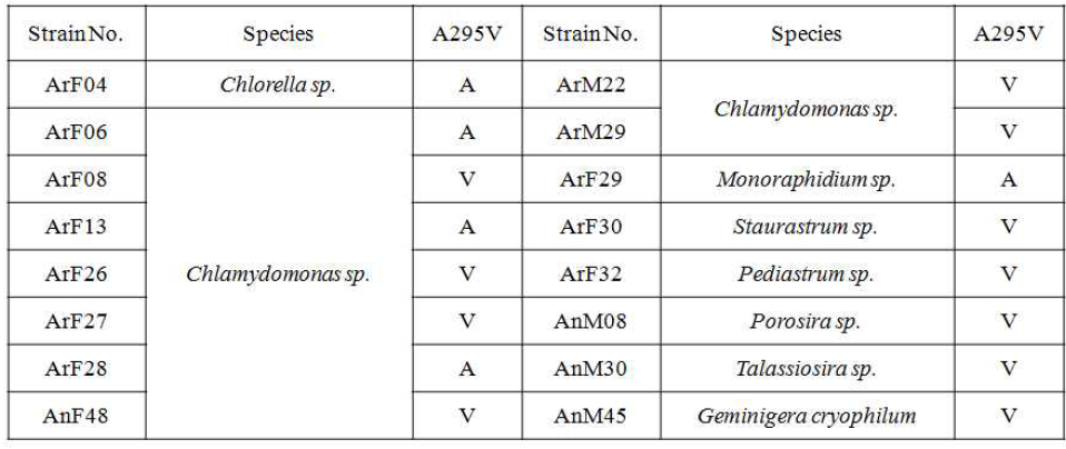 Strains and species of microalgae used in this study with previous data