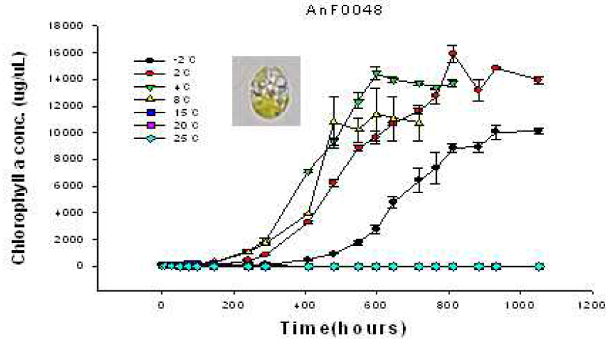 Effect of temperature on the growth rate of AnF0048.