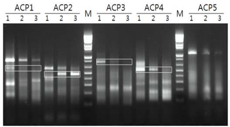 Differentially expressed gene from micro green algae AnF0048 grown under three different temperatures(4℃, 15℃, -2℃) were analyzed using GeneFishing DEG PCR technique.