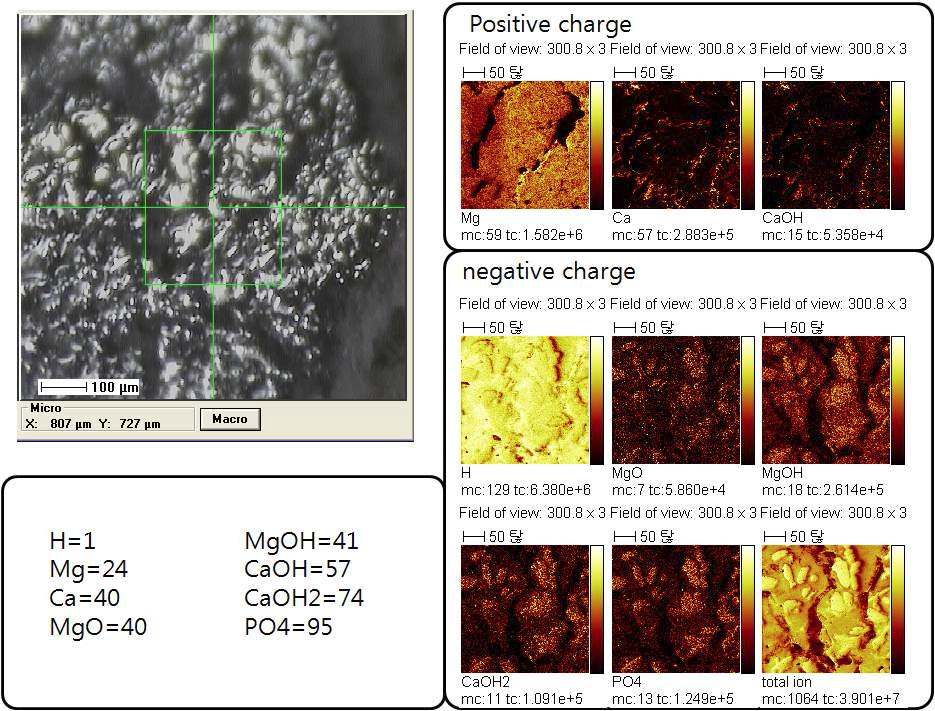 부식된 마그네슘 합금의 TOF-SIMS 분석 결과
