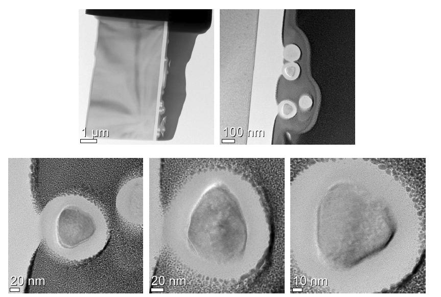 6시간 동안 oxidation 실험한 시편의 단면 이미지