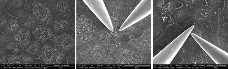 나노메니퓰레이터를 이용하여 1, 2차상의 저항 차이 관찰 SEM image