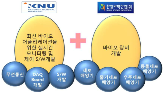 대학과 기업간 담당 역할 구분