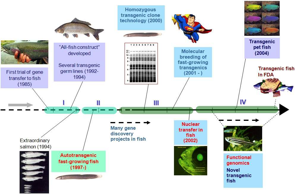 유전자변형 어류의 연구개발사