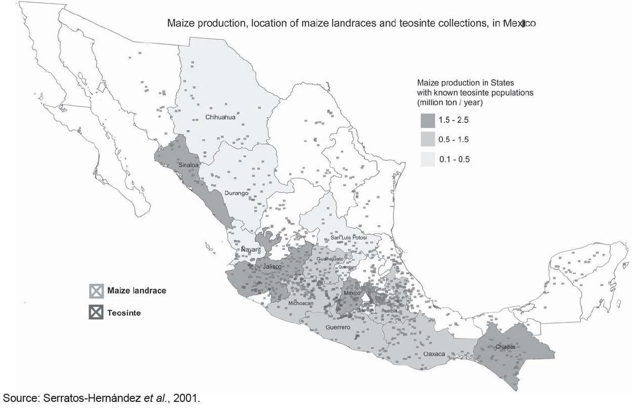 옥수수 지역 품종과 테오신테의 멕시코 내의 분포