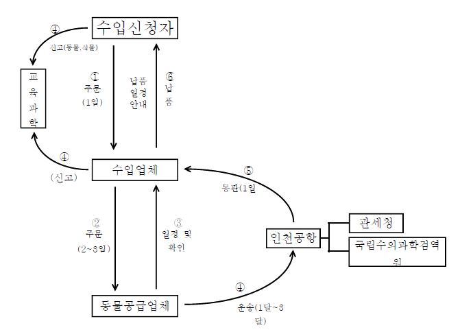 수입대행업체를 통한 시험 • 연구용 LM마우스 수입 체계