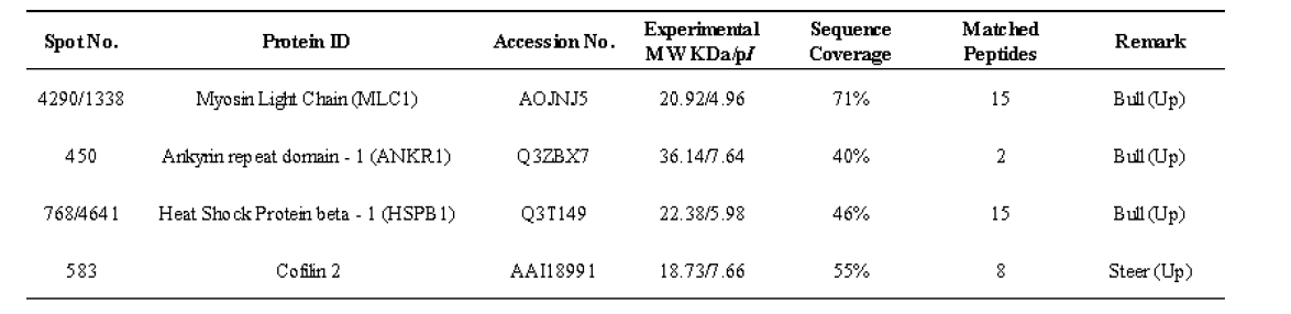 등심조직에서 발현된 특이 단백질 spot에 대한 동정 결과