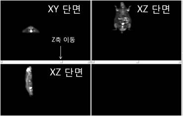 그림 21. 3차원 영상 데이터의 각 단면 가시화