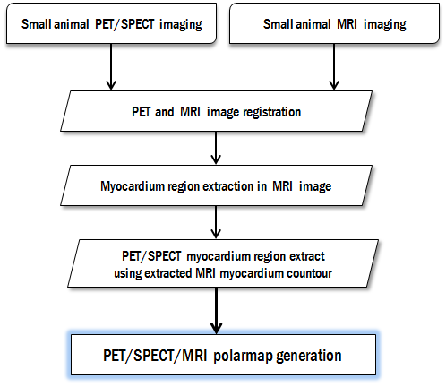 그림 28. MRI 영상 이용 PET/SPECT 극성지도 작성 흐름도