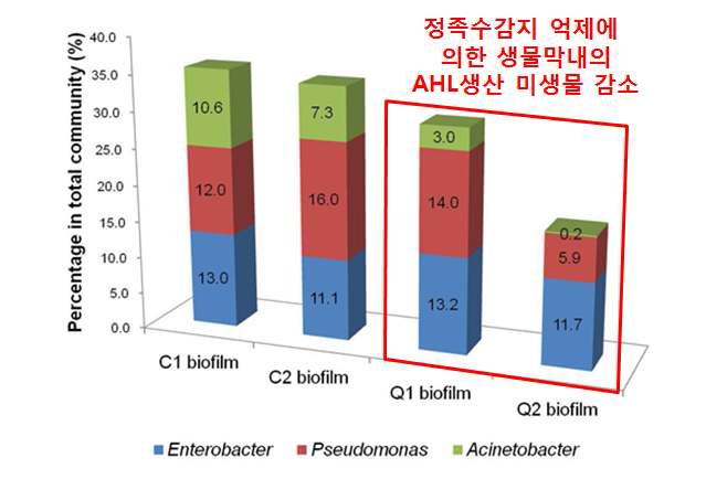 정족수 감지 억제 효과에 의한 생물막내의 AHL생산 미생물 감소