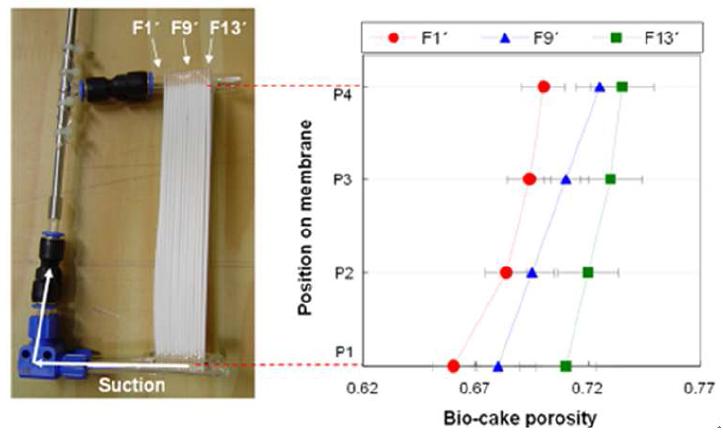 바이오 케이크 공극률의 수직·수평적 분포