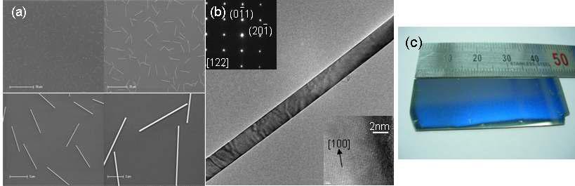 OFF법으로 성장된 나노선 이미지(SEM, TEM)와 1인치급으로 성장된기판 이미지
