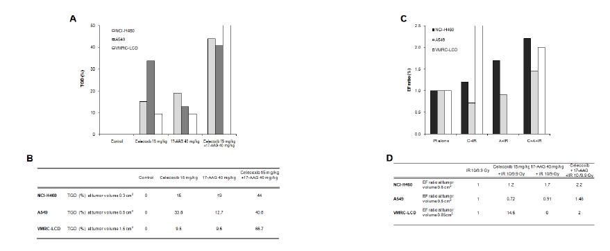 The comparison of tumor growth delay (TGD) and enhancement factor (EF) ratioamong threelung cancer cell lines, NCI-H460, A549, and VMRC-LCD