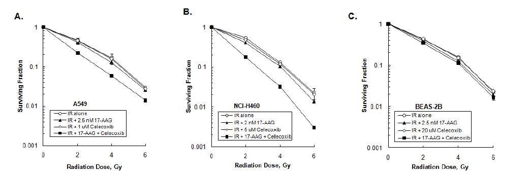 The combined treatment of 17-AAG and celecoxib shows synergistic radiosensitizing effects in cancer cells but not in a normal cell line.