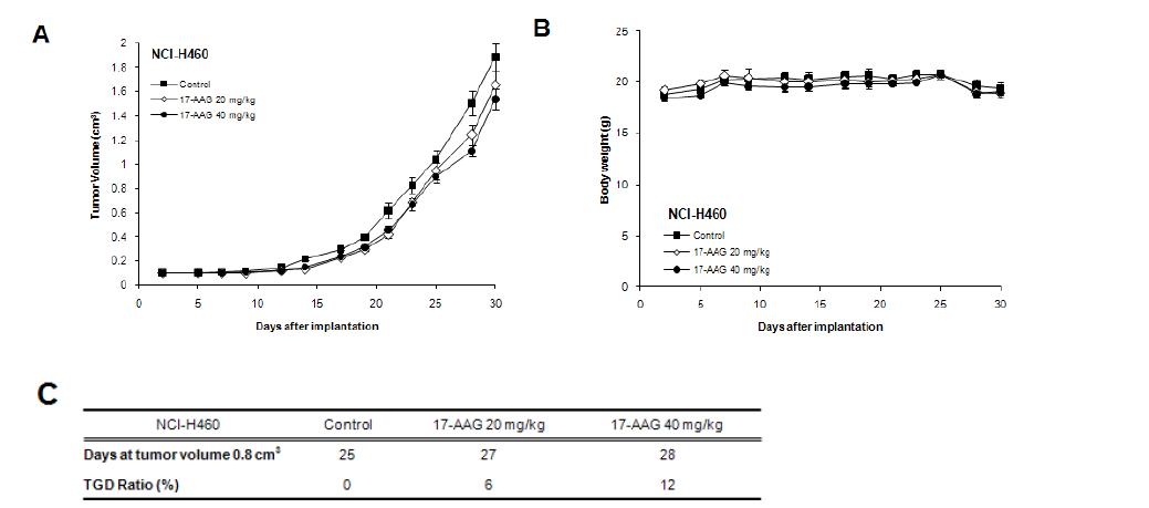 Tumor growth delay assay (A) and change of body weight (B) by 17-AAG in nude mice implantated with NCI-H460 (4X106 cells)